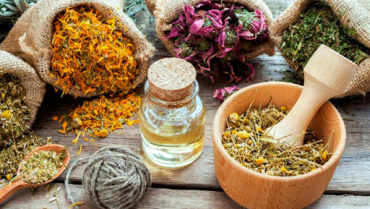 Fitoterapia: A Cura pela Natureza